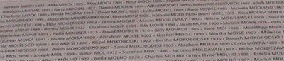 Gaston Moise