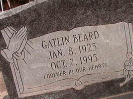 Gatlin Beard
