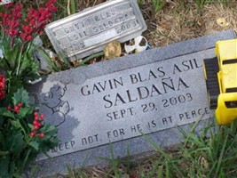 Gavin Blas Asil Saldana