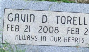 Gavin Doyle Torello Gavin Doyle Torello