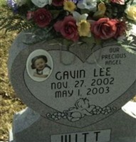 Gavin Lee Witt Gavin Lee Witt