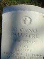 Gavino Palustre