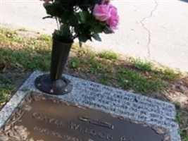 Gayle Weldon Brant