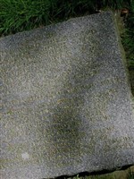 Gefreiter August Pietsch