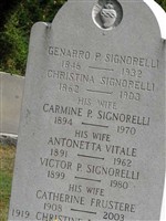 Genarro P Signorelli Genarro P Signorelli