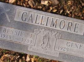 Gene Gallimore