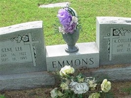 Gene Lee Emmons Gene Lee Emmons