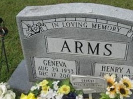 Geneva Arms