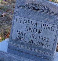Geneva Ping Snow
