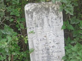Georg Graf Georg Graf