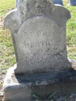 Georg Hartig