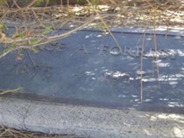 George A. Forrest George A. Forrest