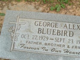 George Alex Bluebird George Alex Bluebird