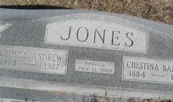 George Andrew Jones