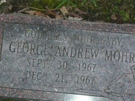 George Andrew Mohr (2066995.jpg) George Andrew Mohr (2066995.jpg)