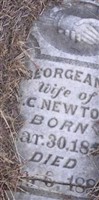 George Ann Newton