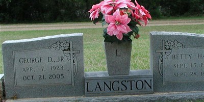 George D. Langston, Jr George D. Langston, Jr