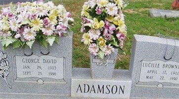 George David Adamson