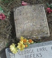 George Earl Weeks George Earl Weeks