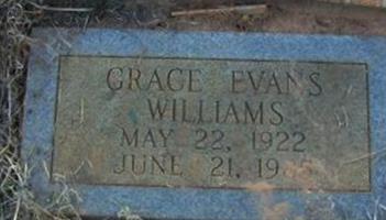 George Evans Williams