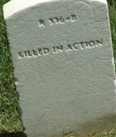 George F Cobb