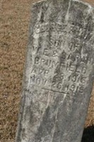 George Frank Brumfield George Frank Brumfield