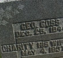 George Goss