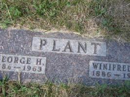 George H Plant