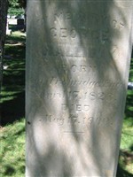 George Halliday