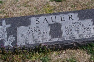 George J. Sauer