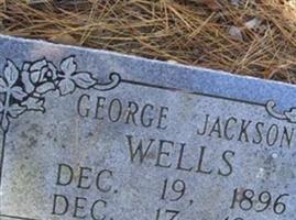 George Jackson Wells