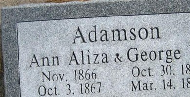 George Kennington Adamson