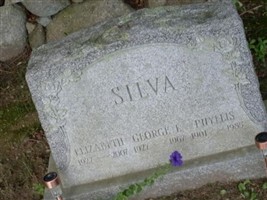 George L. Silva George L. Silva