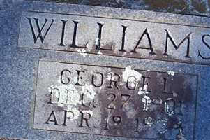 GEORGE L WILLIAMS GEORGE L WILLIAMS