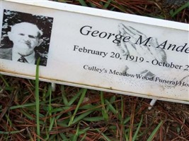 George M Anderson George M Anderson