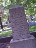 George M Stephan