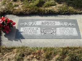 George Meshack Biggs George Meshack Biggs