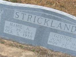 George Moses Strickland
