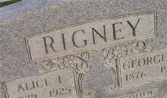 George N Rigney George N Rigney
