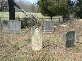 George Nicholas Tapscott family cemetery
