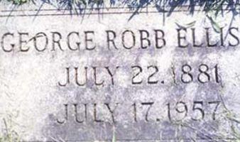 George Robb Ellison