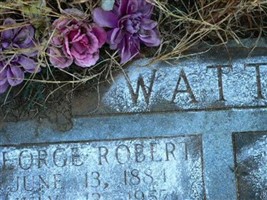 George Robert Watts George Robert Watts