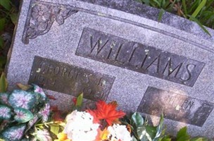 George S Williams, Jr George S Williams, Jr