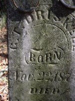 George T. Driskell George T. Driskell