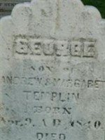 George Templin George Templin