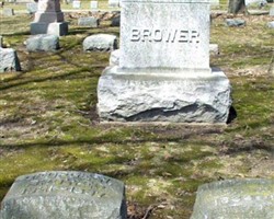 George W. Brower George W. Brower