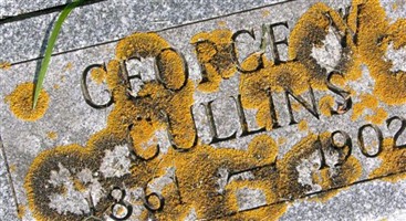 George W Cullins George W Cullins