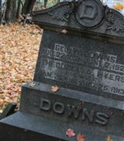 George W. Downs George W. Downs