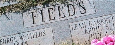 George W. Fields George W. Fields