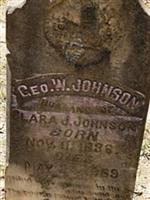 George W. Johnson